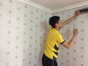 DECAL dán tường chống ẩm